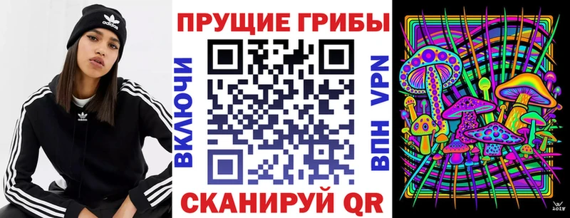 Галлюциногенные грибы ЛСД  хочу   Новокубанск 