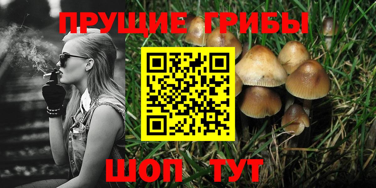 Новокубанск  Псилоцибиновые грибы Psilocybine cubensis  хочу наркоту  Вход с VPN  Псилоцибиновые грибы прущие грибы 